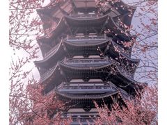 -洋湖国家湿地公园