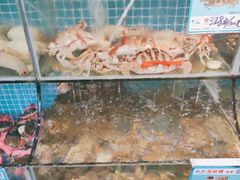 水产区-范饭椰林川湘味海鲜·椰子鸡(三亚湾椰梦长廊店)