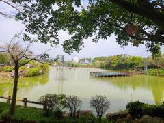 -森波拉奇妙世界