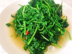 -蔡阿水羊肉店