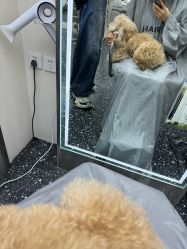 -Hair Co.一间沙龙