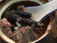 -達揚原味燉品(文明路店)