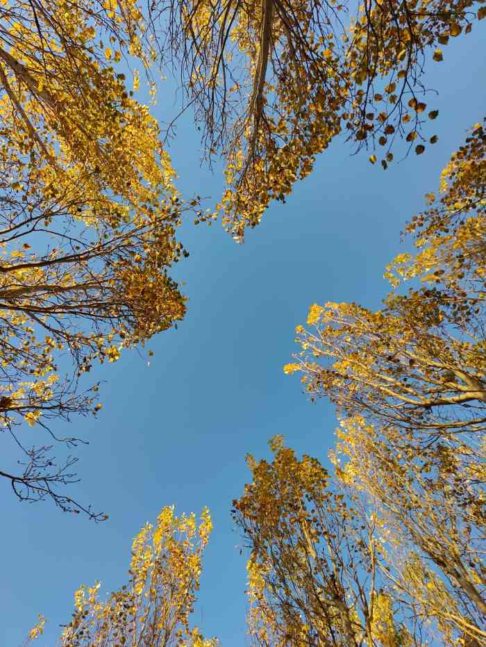 东石公园-"今天天气太棒了,没有太阳,天空清亮,美极."-大众点评移动版