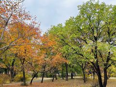 -国家植物园南园