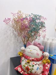 -凡碧诗毛孔收细