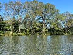 -九曲溪竹筏码头