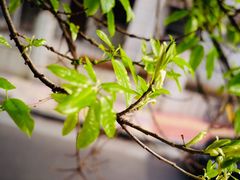 景观位-怪 kafe.