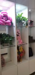 点击看大图 -Dr.林醫生产后修复·配方产康店(南京大厂店)