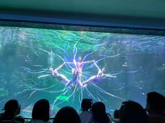 -海合安成都极地海洋公园