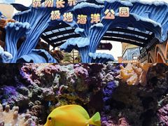 -杭州长乔极地海洋公园