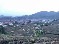 -龙坞茶村