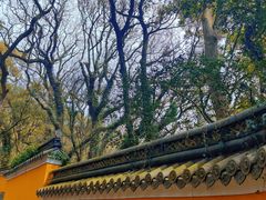 -普陀山风景名胜区-法雨禅寺