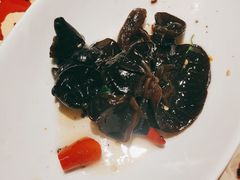 -老碗会·陕西手工面(燕南路店)