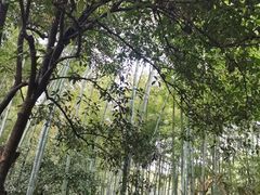 -杭州植物园
