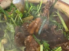 -霞姐屯昌枫木香草鸭店(海螺店)