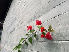 -万柳阁小馆·花园餐厅(龙潭湖店)