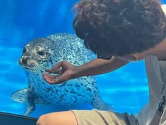 -成都浩海立方海洋公园