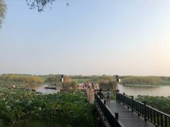 -洪湖生态旅游区