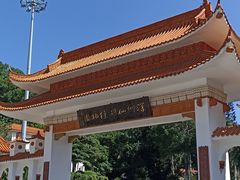 -深圳仙湖植物园