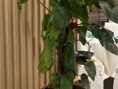 -御苑精品川菜馆(锦江店)