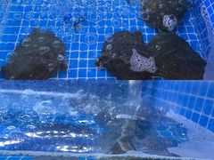 -湘里乡亲甲王二老店