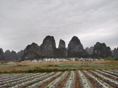 -钟山水墨田园