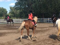 -月河湾马术俱乐部(朝阳店)