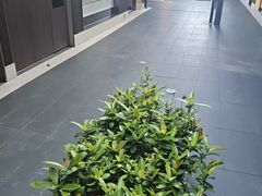 -阿伟海鲜楼·福建菜(涵江店)