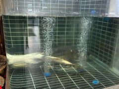 -老海陵·泰州菜(图书馆店)