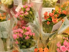 -天虹购物中心(深圳龙华店)