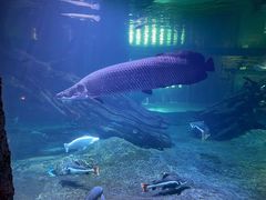 -华夏文旅海洋公园