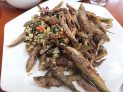 -品雅轩农家乐