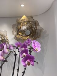 -YESIDO椰岛美容