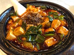 陈麻婆豆腐-陈麻婆豆腐总店