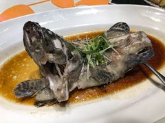 清蒸老虎斑-宝燕壹号(徐汇店)