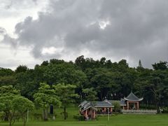 -紫马岭公园