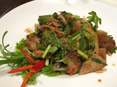 -荷花泰菜(东方新天地店)