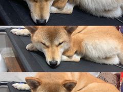 -About Bistro關於·泰式家庭料理