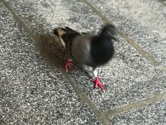 -马里安曼兴都庙