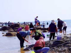 -日照灯塔风景区