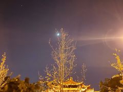 -野鸽子咖啡(中航店)