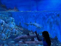 -海合安成都极地海洋公园