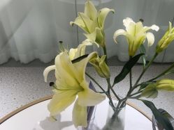 -康美贞·痘肌养护管理中心
