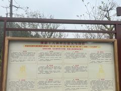-三水森林公园