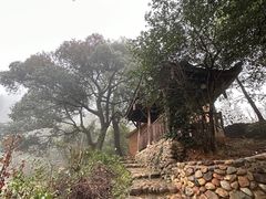 -杨家堂村