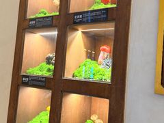 -菌自由丨野生菌火锅特色庭院餐厅(丽江古城店)