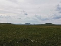 -乌兰布统草原