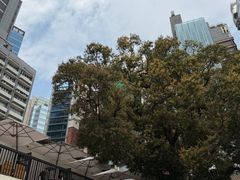 -大馆(前中区警署建築群)