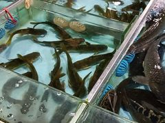 -淡村菜市场