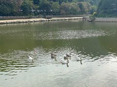 -广州市帽峰山景区